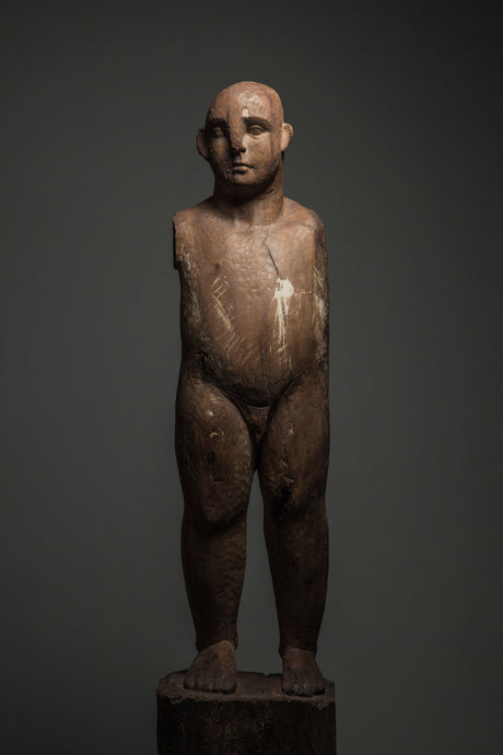 Laëtitia de Bazelaire, Figure tutélaire 1. Figures tutélaires, Mayaro 2020.